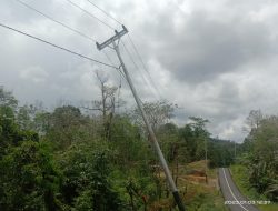 Tiang Listrik Mau Tumbang di Simpang Tulus, Warga Harap Segera Diperbaiki Oleh PLN.