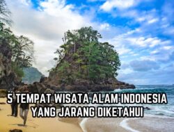 Wisata Alam Introspektif: Menjelajahi Detil Tersembunyi dan Menemukan Diri di Jantung Rimba