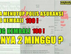 Panduan Lengkap Pembatalan Polis Asuransi Kesehatan dan Pengembalian Premi