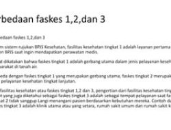 Syarat Mengajukan Rujukan Lane 3 di Faskes Tingkat 1: Panduan Lengkap dan Prosedur Medis